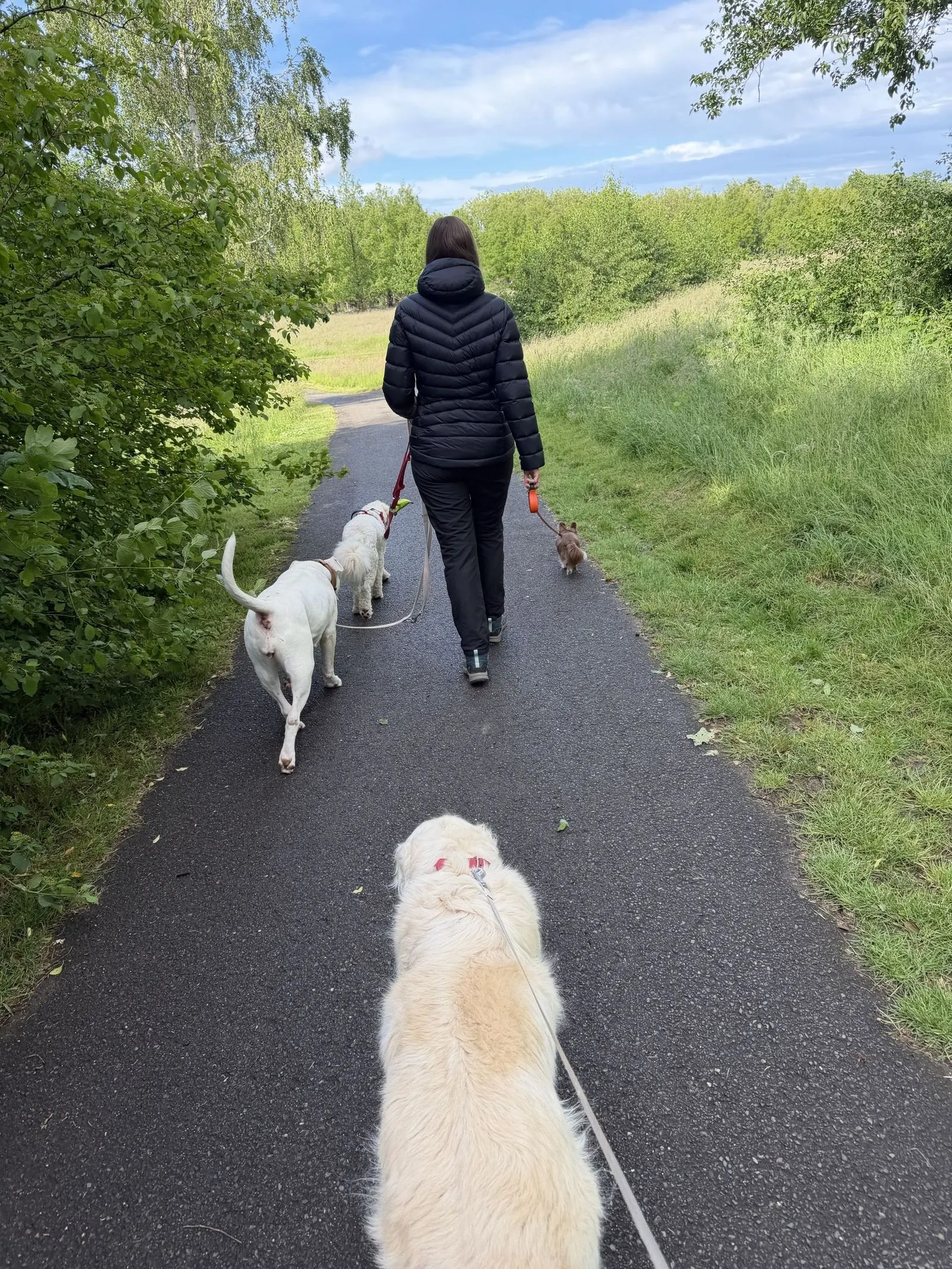 Kimberly van Blije Woef wandelt ontspannen met haar honden in de natuur rond Brunssum